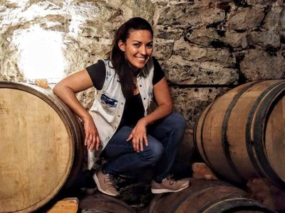 Vinos de Salta: mucho color, estructura y aroma
