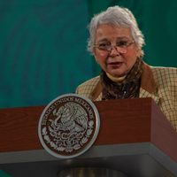Sí hay control sobre Jóvenes construyendo el futuro, pero no faltan 'negritos en el arroz': Segob