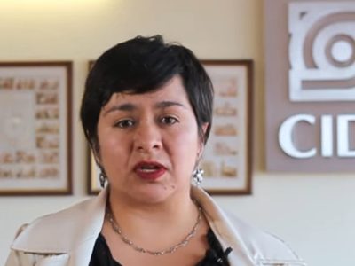 Lucero Ibarra, la nueva directora del CIDE con trayectoria académica en derecho y feminismo