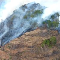 Incendio en Tepoztlán consume unas 45 hectáreas (Video)