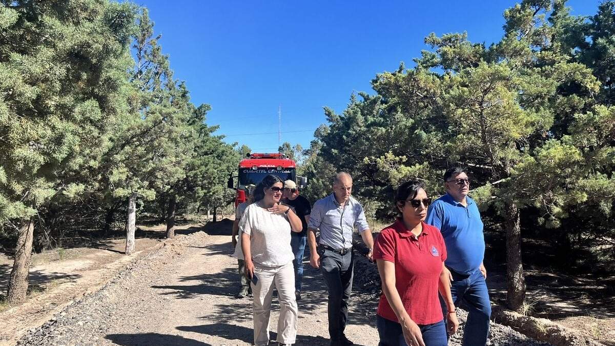 Francisco Baggio durante la presentación del Plan de Manejo contra Incendios. Fuente: (twitter).