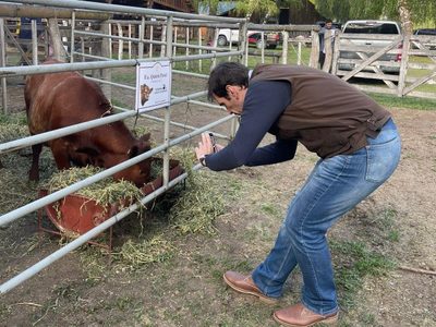 Pablo Cervi resaltó el potencial del campo en la Expo Bovinos de Junín de los Andes