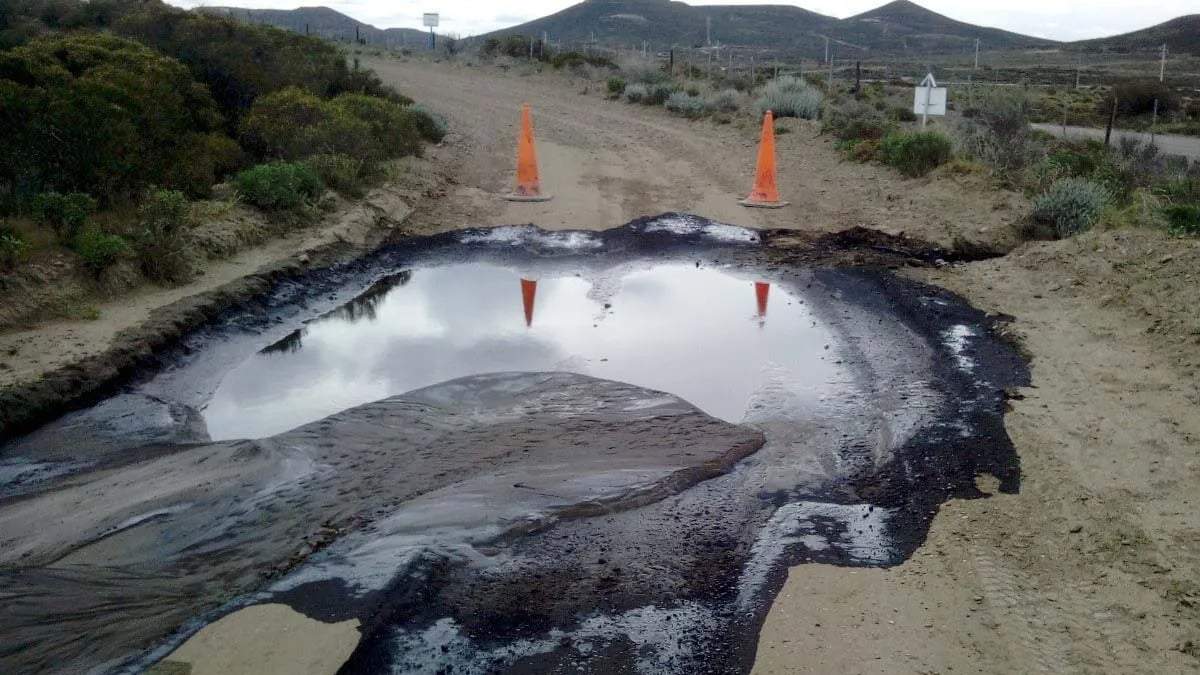 Santa Cruz. Fuente: (X)
