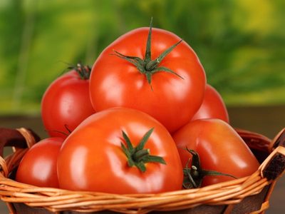 Modificaron genéticamente unos tomates para que produzcan tanta vitamina D como dos huevos