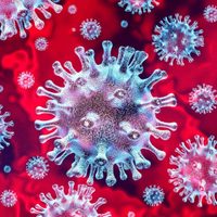Coronavirus en Neuquén: se registraron 4 fallecimientos y 296 nuevos casos