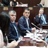 El MPN rechazó el DNU de Milei y solicitó a legisladores nacionales neuquinos que no lo aprueben
