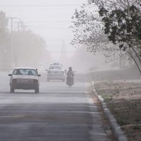 Alerta meteorológica: advierten la presencia de fuertes vientos en Zapala