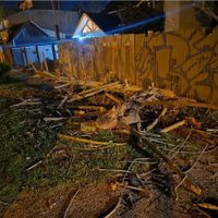 Un fuerte temporal de viento azotó a San Martín de los Andes y provocó caída de árboles y voladura de techos