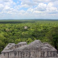 Unesco solicita a México información sobre hotel en la Reserva de Calakmul