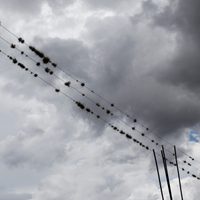 CDMX sin cables de Internet, telefonía y TV de paga