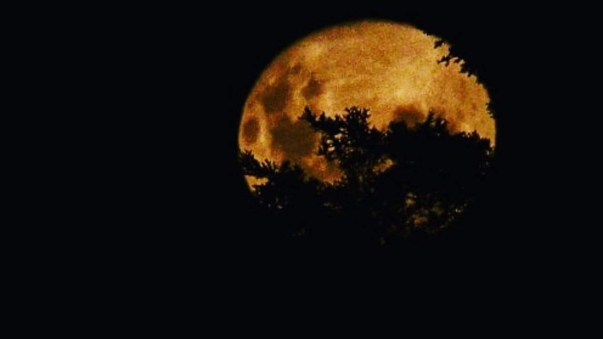 "Superluna de Gusanos" en todo su esplendor. Fuente: (Twitter)