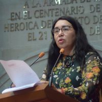 Diputados mexiquenses piden detener y sancionar presuntos ecocidios