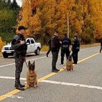 La policía de Neuquén reforzó el control en las rutas para prevenir el microtráfico de estupefacientes