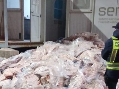 Dijo que llevaba arena, pero transportaba 7.800 kilos de carne