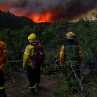 Tras varias semanas trágicas, el incendio en Aluminé “no presenta actividad visible”