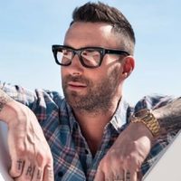 ¡No lo vas a poder creer! ¿Cuánto cuesta la mansión que vendió Adam Levine? ¡Mirá!