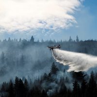Incendios arrasan miles de hectáreas en la Patagonia; con 10% de focos activos, el riesgo persiste
