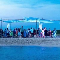 Tras fiesta en una isla veracruzana que destruyó nidos de tortuga, la Profepa abre investigación (Video)