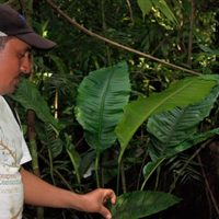 Asesinan a otro ambientalista, ahora en Guatemala