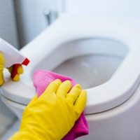 Cómo dejar tu inodoro nuevo sin productos de limpieza : sin gastar ni contaminar
