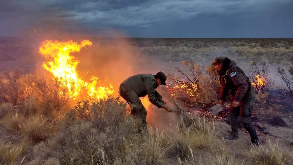 El gobernador monitorea el incendio en Aluminé. Fuente: (Twitter)