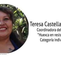 Opositora a la termoeléctrica de Huexca gana premio de derechos humanos