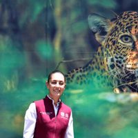 “Es falso que los animales no tengan suficiente comida” en zoológicos de la CDMX: Sheinbaum