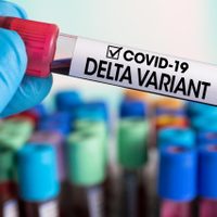 Chile en alerta total: autoridades confirman 10 nuevos casos de la variante Delta