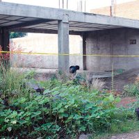 Suman 10 ejecutados en Guanajuato en los últimos días