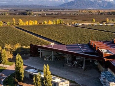 Las 15 bodegas mendocinas que conquistaron el top 50 de las mejores del mundo