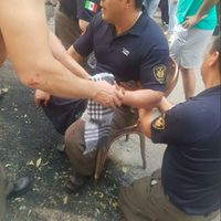 Balean al líder del sindicato de bomberos, Ismael Figueroa