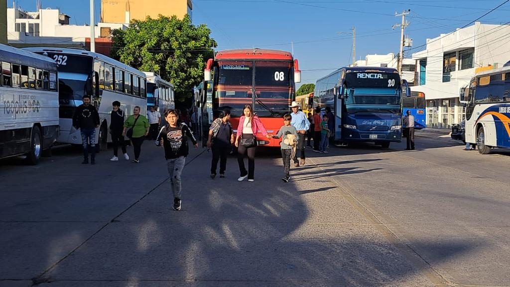 Sinaloa. Autobuses para el acarreo masivo