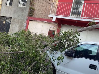 Se va el frente frío 37 pero seguirán vientos fuertes y lluvias entre lunes y jueves