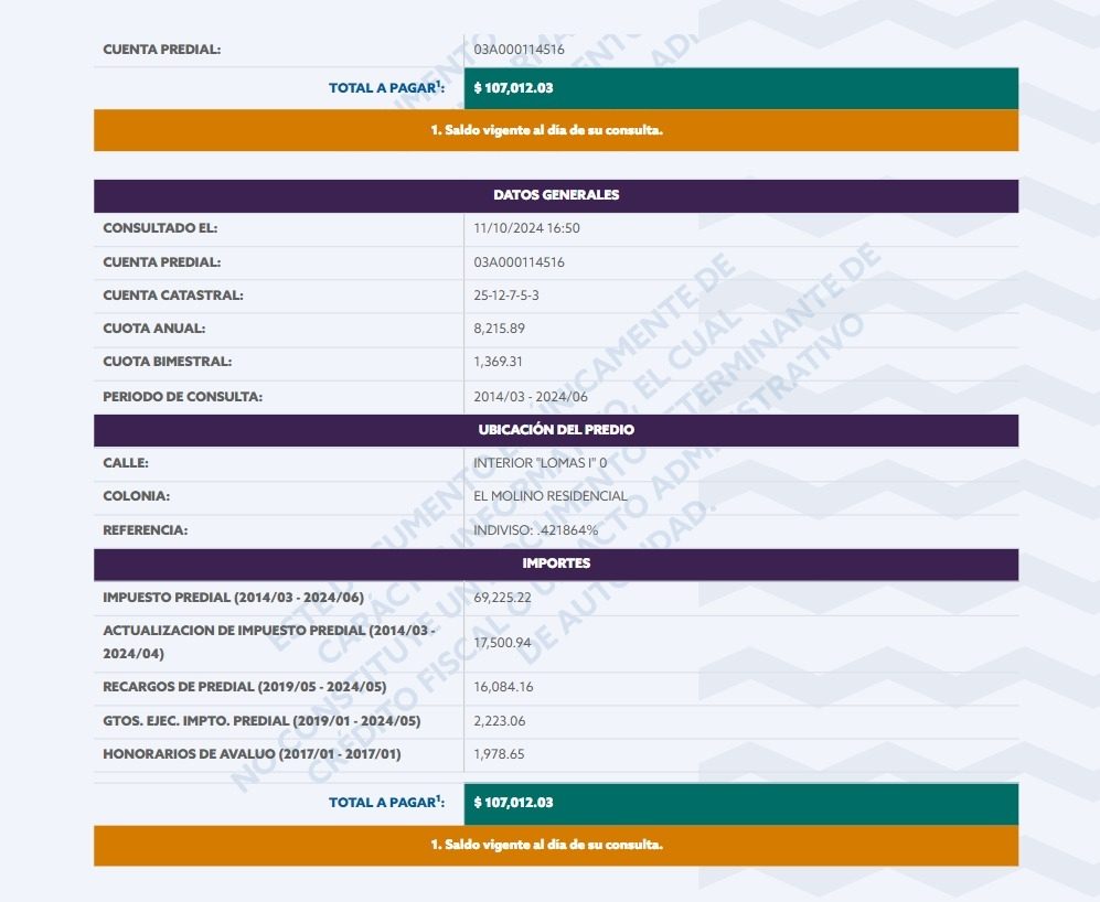 Imagen de WhatsApp 2024-10-11 a las 19.29.28_0cd77c48