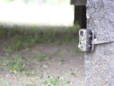 Instalaron cámaras con detección de movimiento para hallar al puma en la Península Hiroki