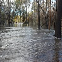 Organismos provinciales realizan guardias ante el temporal y por la posible crecida del río Neuquén