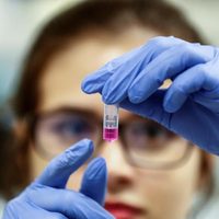 Netflix abre las puertas a la pandemia con "Coronavirus Explained". ¡Ya tiene fecha y tráiler!