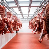 Estados Unidos cuadruplica la cuota de importación de carne vacuna desde Argentina