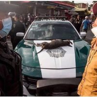 Policía mata a balazos a un perro en operativo realizado en Tepito