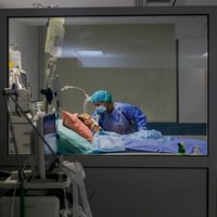 "En Neuquén se elige a quién internar": las fuertes declaraciones del subsecretario de Salud