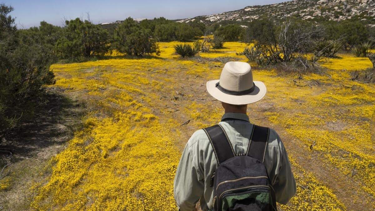El doctor Georges Seingier, profesor en Ciencias Marinas y Ambientales de la Universidad Autónoma de Baja California, participa en una expedición botánica con estudiantes de la UABC para documentar la biodiversidad en la frontera entre EU y México