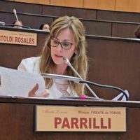 Parrilli cuestionó algunos aspectos del Plan Provincial de Becas propuesto por Figueroa