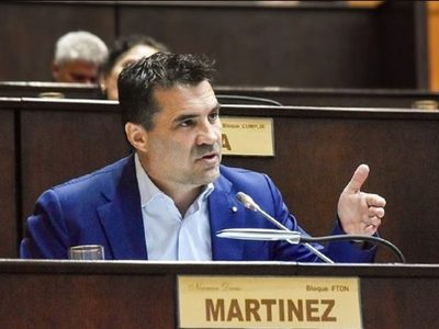 Darío Martínez opinó que Milei pretende avasallar los derechos de Neuquén sobre sus recursos