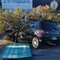 Conductor alcoholizado se incrustó con un cartel en la Avenida Mosconi