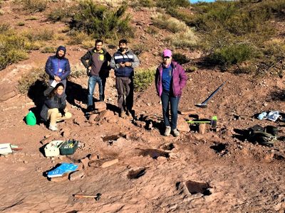 Neuquén: investigadores de la UNCo descubrieron un yacimiento de huellas de dinosaurios