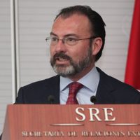 UIF investiga a Videgaray desde que Lozoya lo incluyó en su declaración: Nieto