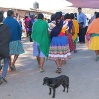 El etnocidio lingüístico en Guerrero: de 25 lenguas originarias a sólo cuatro