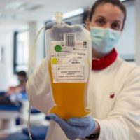 Coronavirus en Argentina: avanza la terapia con plasma en Formosa y Catamarca