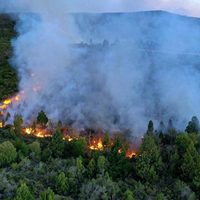 Líneas eléctricas colapsadas, personas y autos evacuados: así quedó El Hoyo tras el incendio