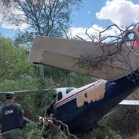 Una avioneta que transportaba 140 kilos de cocaína se estrelló en Salta
